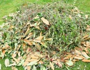 Green Waste Grab & Go Bag Collection