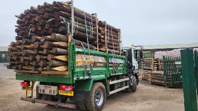 Reclaimed Tele Pole Strainer 150mm-175mm 3m Long | County Town ...