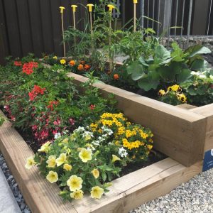 Raised Bed Kit-Small OAK
