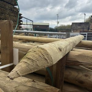 Half Round Post Round Pointed 1.8mx115mm