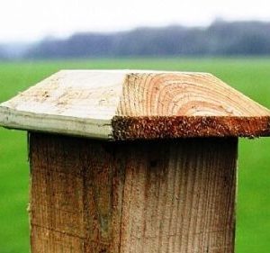 Post Cap for 75mm x 75mm Post