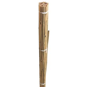 Bamboo Cane 90cm 20pk