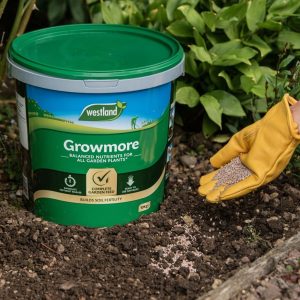 Westlands Growmore 8kg Tub